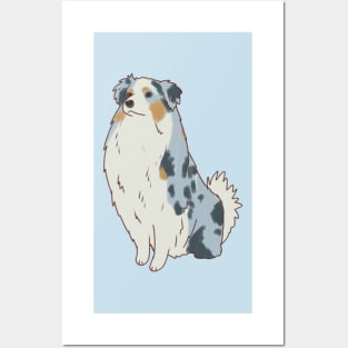 australian shepherd illustration Posters and Art